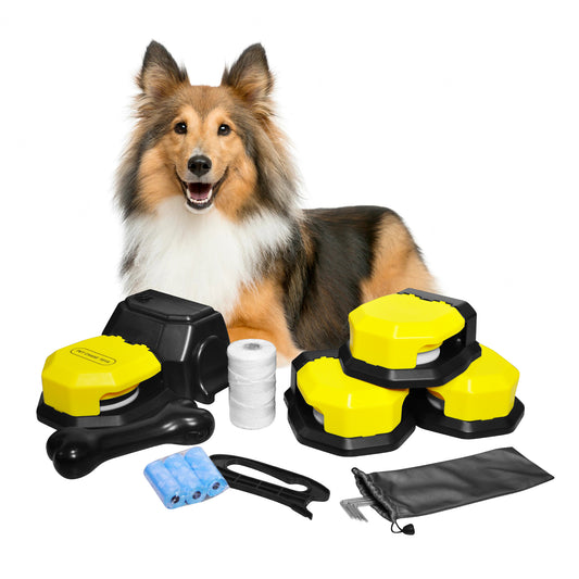 Interactive Dog Toys,agility Training Equipment For Dogs,pet Chase