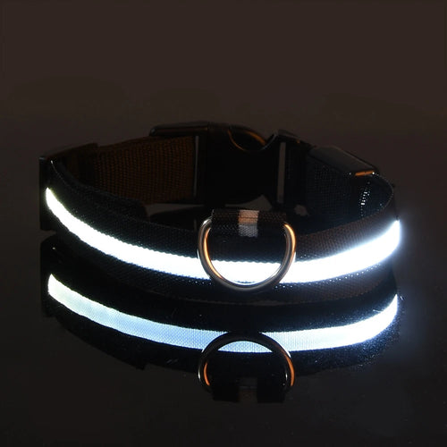 Nylon LED Night Safety Flashing Glow In The Dark Dog Leash Dogs