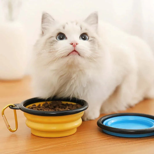 1500ml Pet Silicone Folding Bowl High-Capacity Dog Feeding Basin Cat