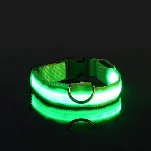 Nylon LED Night Safety Flashing Glow In The Dark Dog Leash Dogs