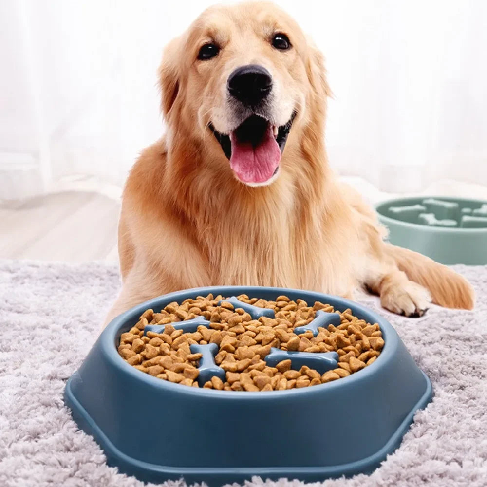 New Pet Dog Feeding Food Bowl Puppy Slow Down Eating Feeder Dish Bowl