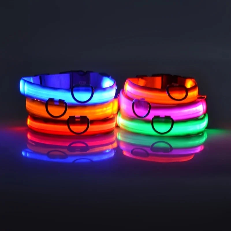 Nylon LED Night Safety Flashing Glow In The Dark Dog Leash Dogs