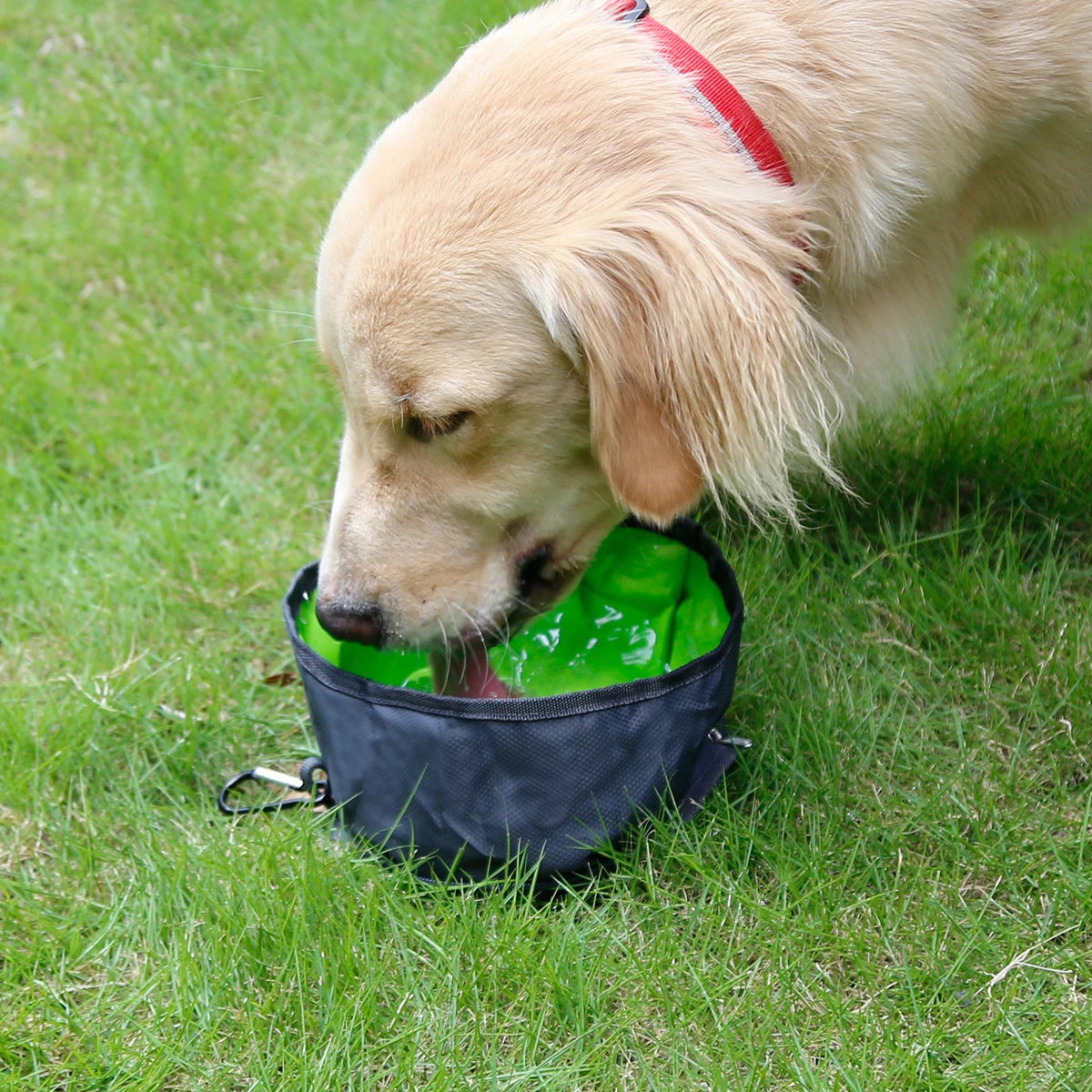 Big Volume Dog Drinking Container Foldable Dog Water Bowl Food Storage