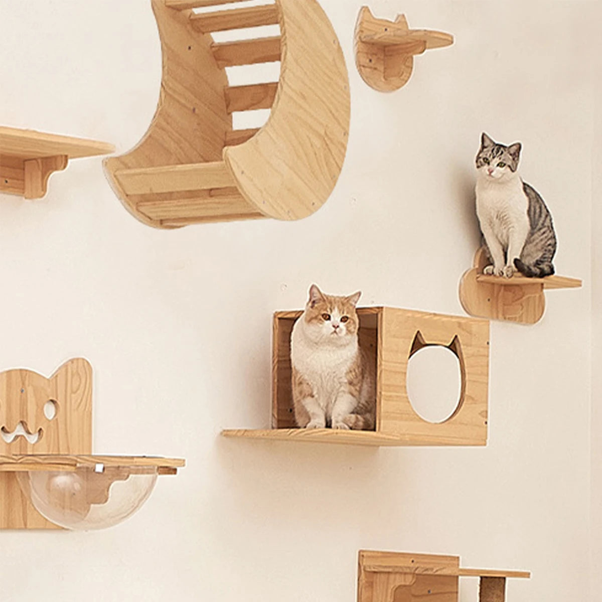 Wall Mounted Cat Shelves Wood Cat Lookout Climbing Shelf Kitten Wall